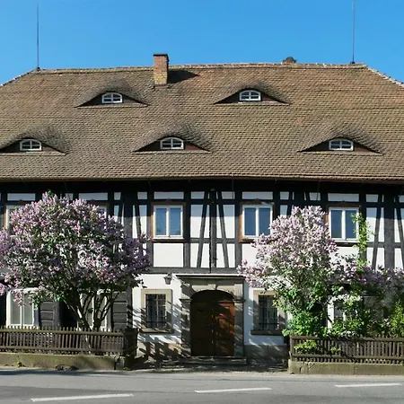 Goldberghaus Mauve